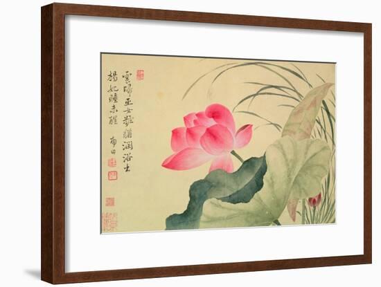 Lotus Flower, by Yun Shou-P'Ing (1633-90), from an 'Album of Flowers', (W/C on Silk Backed Paper)-Yun Shouping-Framed Giclee Print