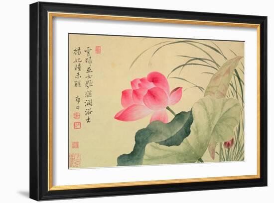 Lotus Flower, by Yun Shou-P'Ing (1633-90), from an 'Album of Flowers', (W/C on Silk Backed Paper)-Yun Shouping-Framed Giclee Print