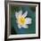 Lotus flower, Guangxi Province, China-Keren Su-Framed Photographic Print