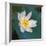 Lotus flower, Guangxi Province, China-Keren Su-Framed Photographic Print