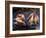 Lotus Flower Hearts in the Vegetable Market, Mulu, Sarawakn Borneo-Annie Owen-Framed Photographic Print