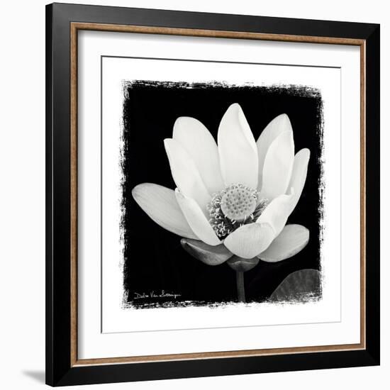Lotus Flower I-Debra Van Swearingen-Framed Premium Giclee Print