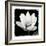 Lotus Flower I-Debra Van Swearingen-Framed Premium Giclee Print