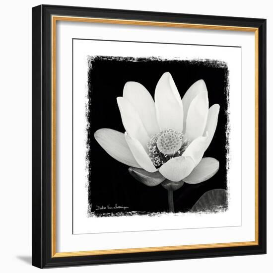 Lotus Flower I-Debra Van Swearingen-Framed Premium Giclee Print