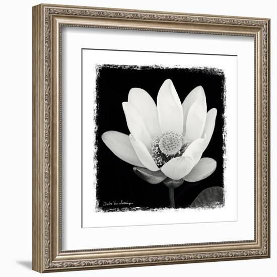 Lotus Flower I-Debra Van Swearingen-Framed Art Print