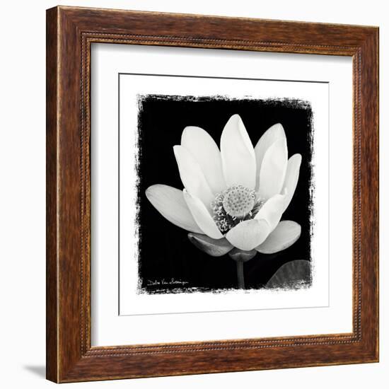 Lotus Flower I-Debra Van Swearingen-Framed Art Print