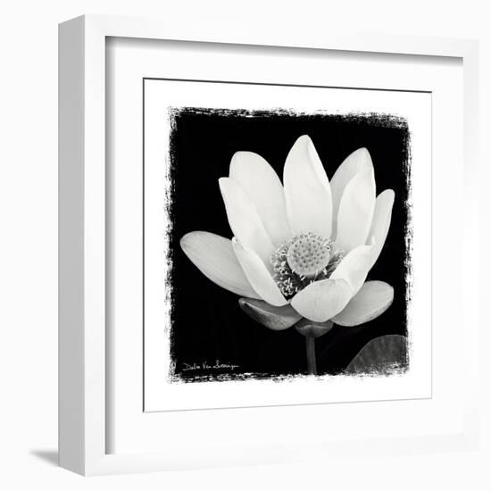 Lotus Flower I-Debra Van Swearingen-Framed Art Print