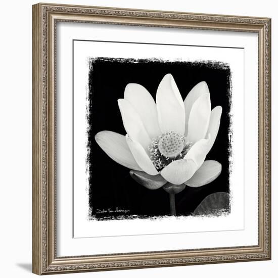 Lotus Flower I-Debra Van Swearingen-Framed Art Print