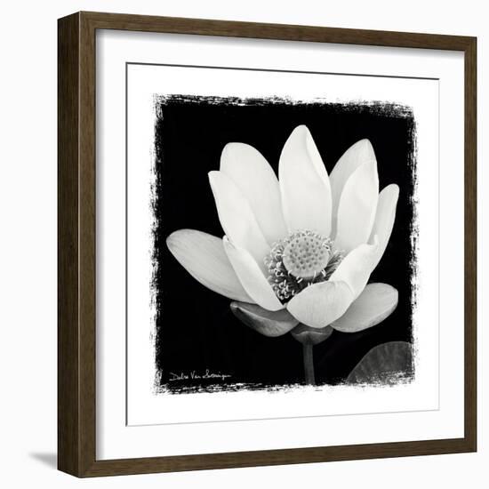 Lotus Flower I-Debra Van Swearingen-Framed Art Print