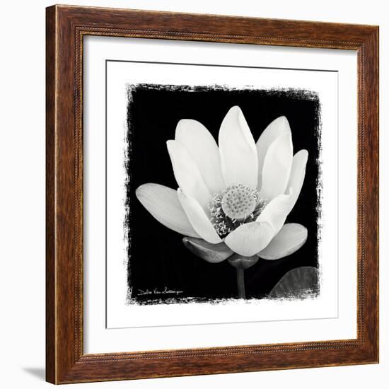 Lotus Flower I-Debra Van Swearingen-Framed Art Print