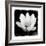 Lotus Flower I-Debra Van Swearingen-Framed Art Print