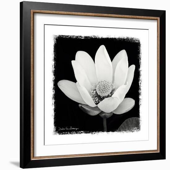 Lotus Flower I-Debra Van Swearingen-Framed Art Print