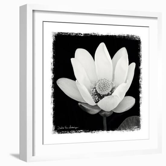 Lotus Flower I-Debra Van Swearingen-Framed Art Print