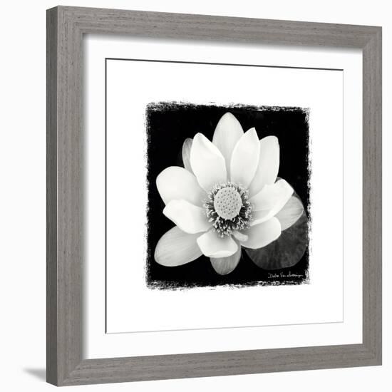 Lotus Flower II-Debra Van Swearingen-Framed Art Print