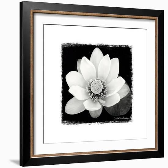 Lotus Flower II-Debra Van Swearingen-Framed Art Print