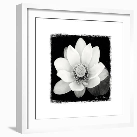 Lotus Flower II-Debra Van Swearingen-Framed Art Print