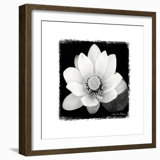 Lotus Flower II-Debra Van Swearingen-Framed Premium Giclee Print