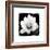 Lotus Flower II-Debra Van Swearingen-Framed Premium Giclee Print