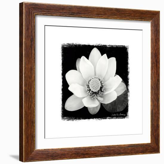 Lotus Flower II-Debra Van Swearingen-Framed Premium Giclee Print