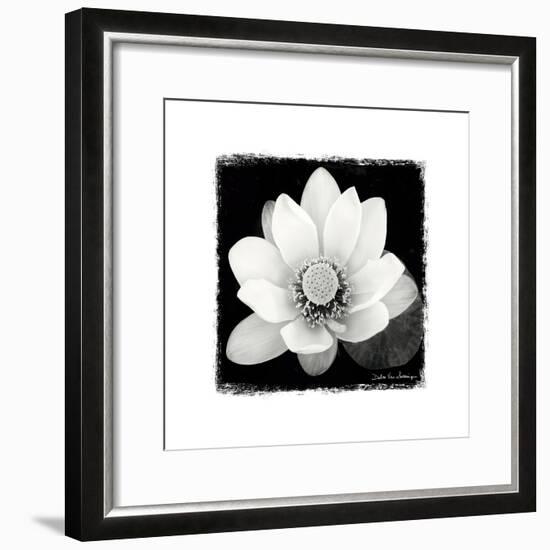Lotus Flower II-Debra Van Swearingen-Framed Premium Giclee Print