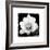 Lotus Flower II-Debra Van Swearingen-Framed Premium Giclee Print