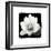 Lotus Flower II-Debra Van Swearingen-Framed Premium Giclee Print