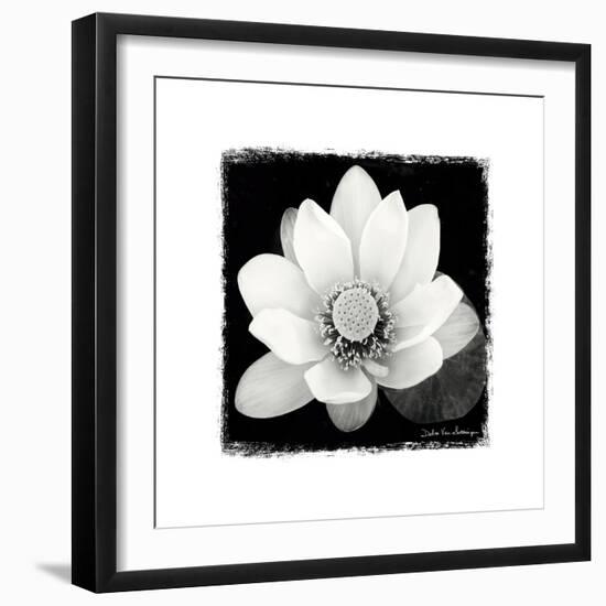 Lotus Flower II-Debra Van Swearingen-Framed Premium Giclee Print