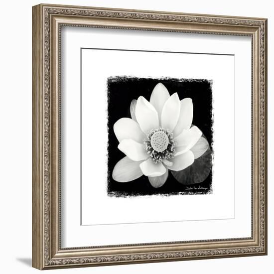 Lotus Flower II-Debra Van Swearingen-Framed Art Print