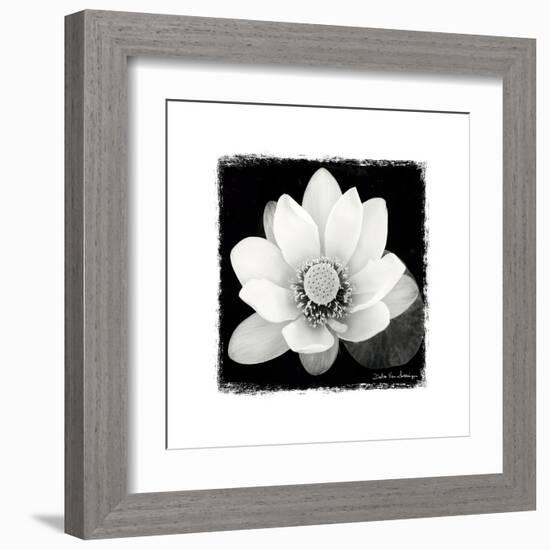 Lotus Flower II-Debra Van Swearingen-Framed Art Print