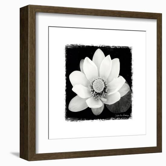 Lotus Flower II-Debra Van Swearingen-Framed Art Print