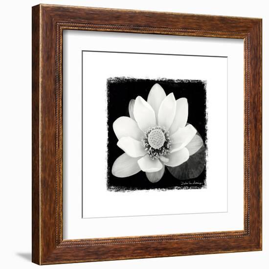 Lotus Flower II-Debra Van Swearingen-Framed Art Print