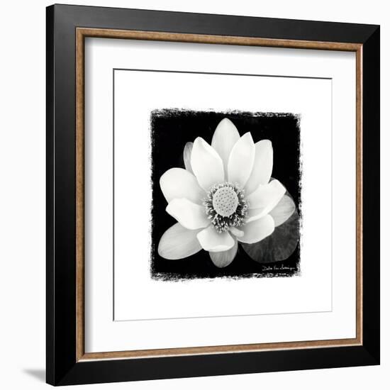 Lotus Flower II-Debra Van Swearingen-Framed Art Print