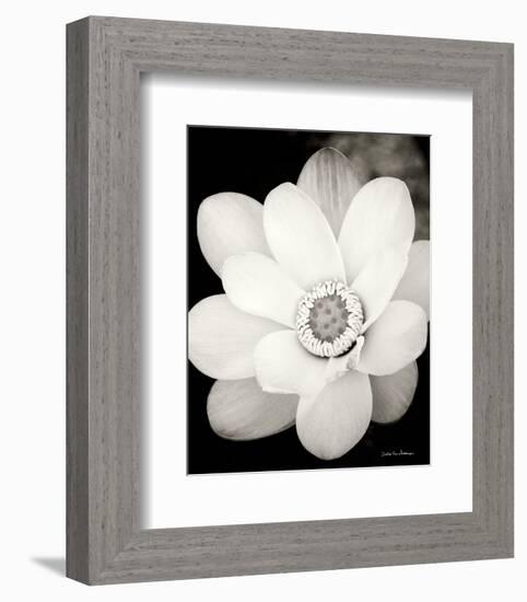 Lotus Flower III-Debra Van Swearingen-Framed Photo