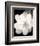 Lotus Flower III-Debra Van Swearingen-Framed Photo