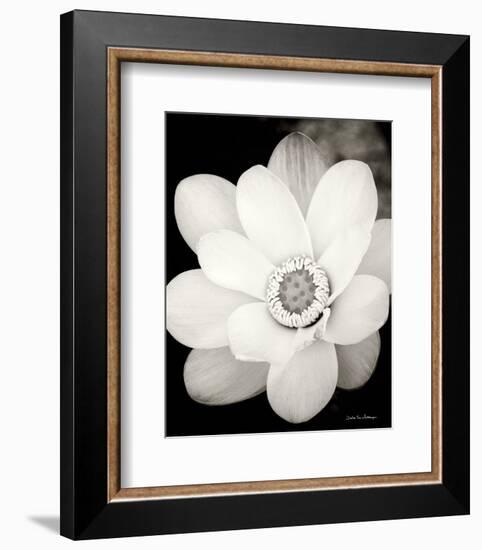 Lotus Flower III-Debra Van Swearingen-Framed Photo