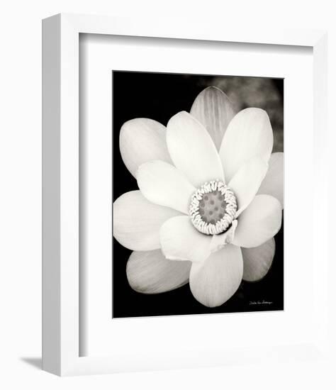 Lotus Flower III-Debra Van Swearingen-Framed Photo