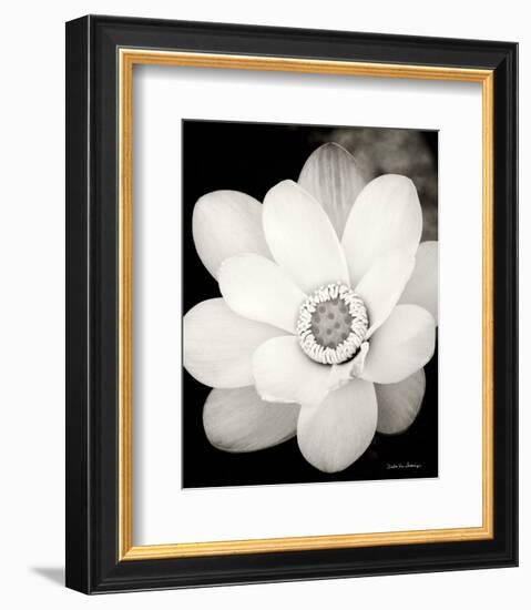 Lotus Flower III-Debra Van Swearingen-Framed Photo