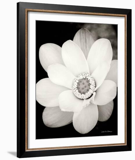 Lotus Flower III-Debra Van Swearingen-Framed Photo