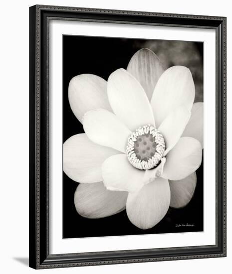 Lotus Flower III-Debra Van Swearingen-Framed Photo