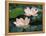 Lotus Flower in Blossom, China-Keren Su-Framed Premier Image Canvas