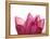 Lotus Flower in Full Bloom-Michele Molinari-Framed Premier Image Canvas