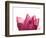 Lotus Flower in Full Bloom-Michele Molinari-Framed Photographic Print