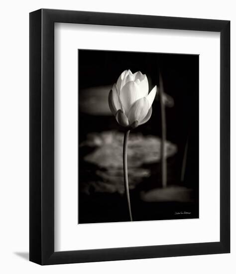 Lotus Flower VI-Debra Van Swearingen-Framed Photo