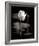 Lotus Flower VI-Debra Van Swearingen-Framed Photo