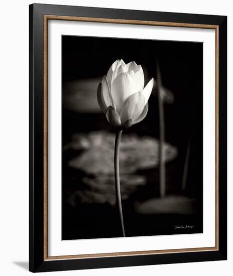 Lotus Flower VI-Debra Van Swearingen-Framed Photo
