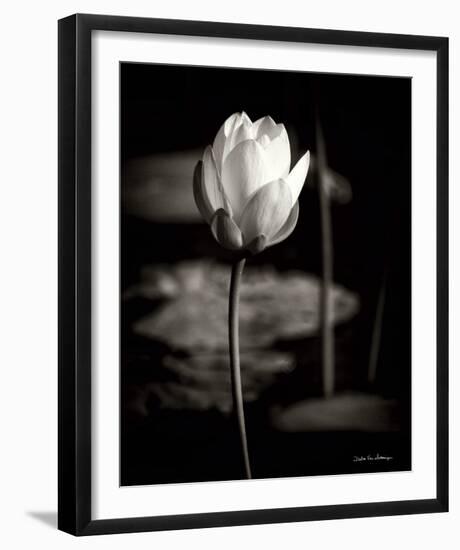 Lotus Flower VI-Debra Van Swearingen-Framed Photo