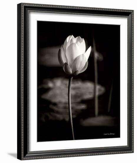 Lotus Flower VI-Debra Van Swearingen-Framed Photo