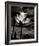 Lotus Flower VII-Debra Van Swearingen-Framed Photo