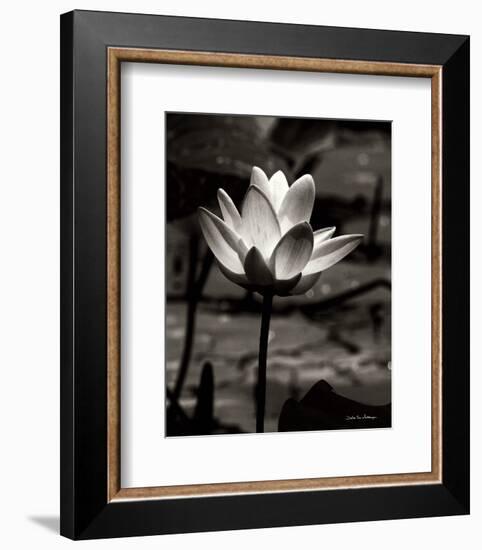 Lotus Flower VII-Debra Van Swearingen-Framed Photo