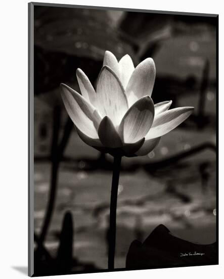 Lotus Flower VII-Debra Van Swearingen-Mounted Photo